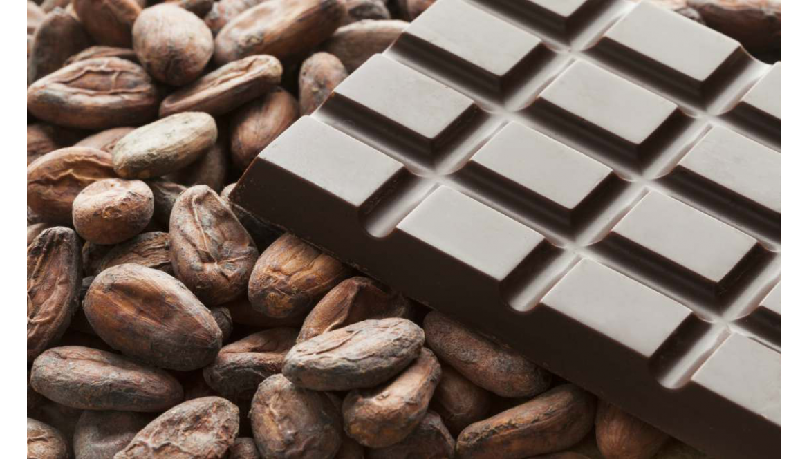 Le Petit Carré de Chocolat vous ouvre ses portes - Le Petit Carré de ...